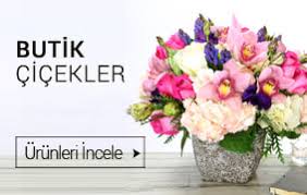 Karşıyaka çiçek   saksı çiçekleri
