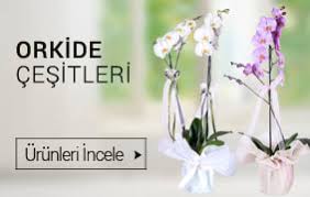 İzmir Karşıyaka çiçekçiler butik çiçekler